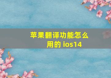 苹果翻译功能怎么用的 ios14